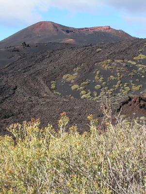 Fastenkurs auf La Palma