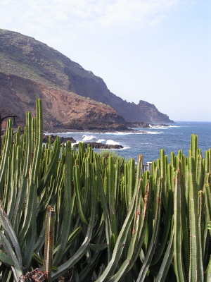 Fastenwandern Urlaub auf La Palma