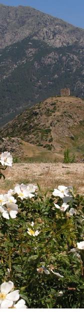 In der korsischen Macchia Fasten und Wandern